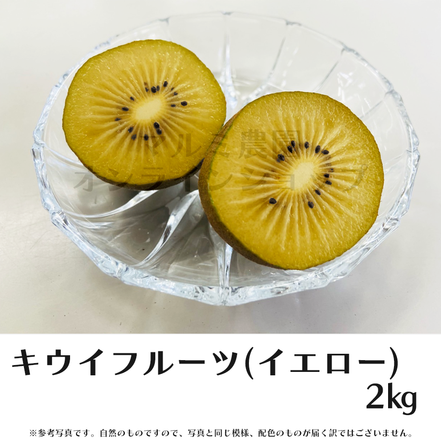 nonno様・お得意様ご予約分　Green&yellowキュウイフルーツ20キロ nonno様・お得意様ご予約分 Green&yellowキュウイフルーツ20キロ